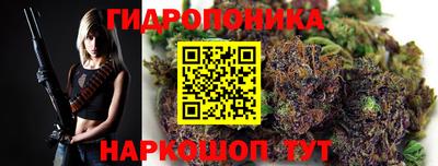 хмурый Тула